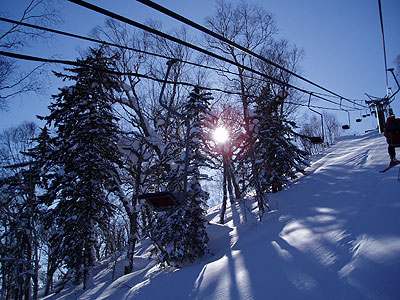 Crisp Bluebird, Link Chair, Furano, Feb 2006